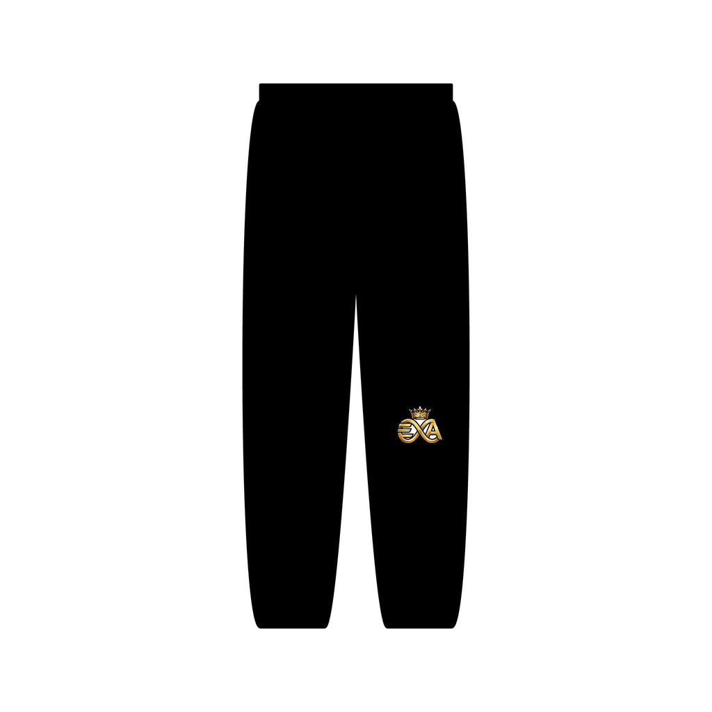 EverAfterWear HERO Crown EA Logo sweatpants - product mockup with gold streetwear design - alternate view